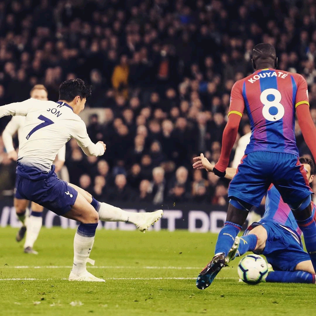 条独具特色 条独具特色