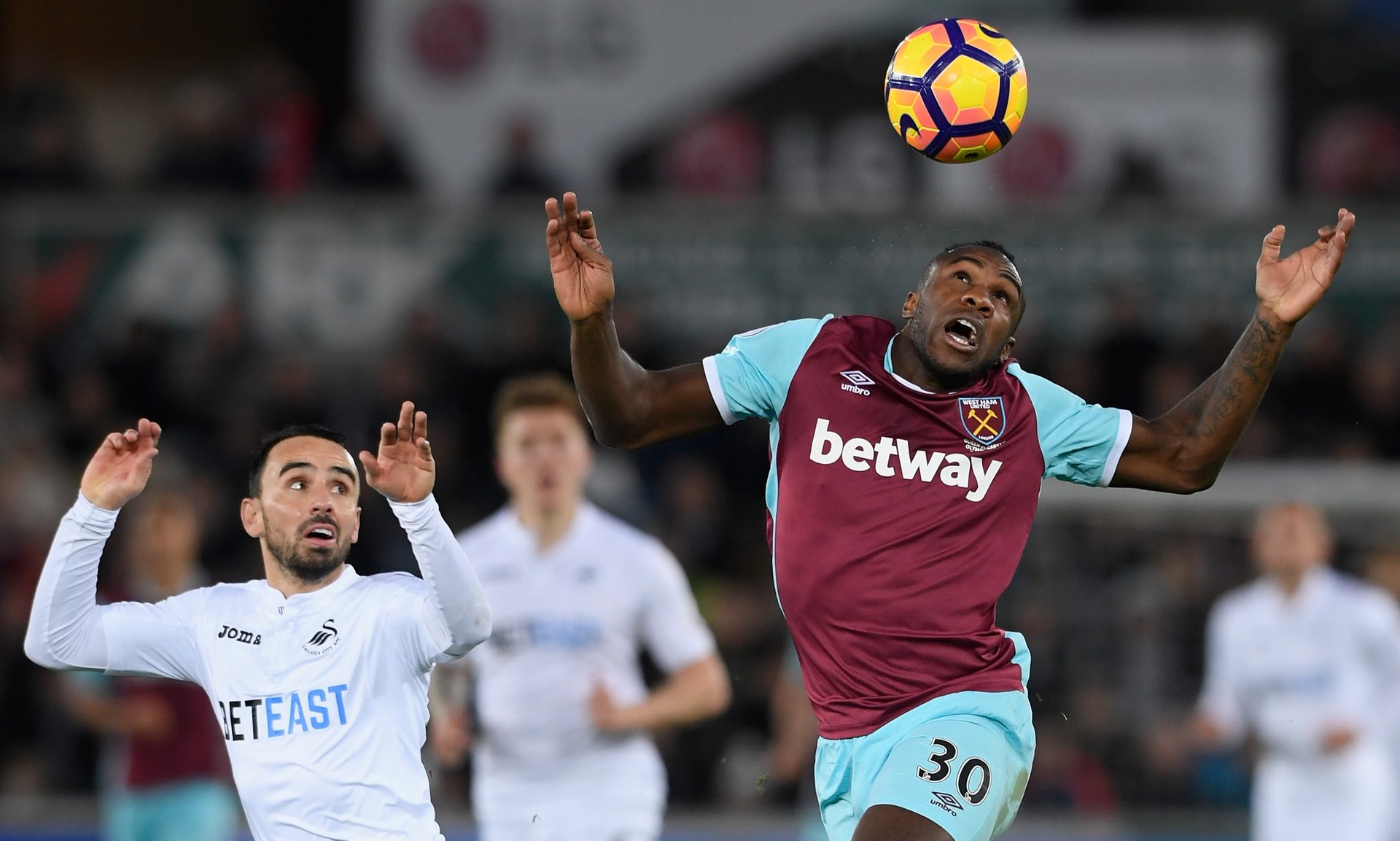 成了未来两 成了未来两